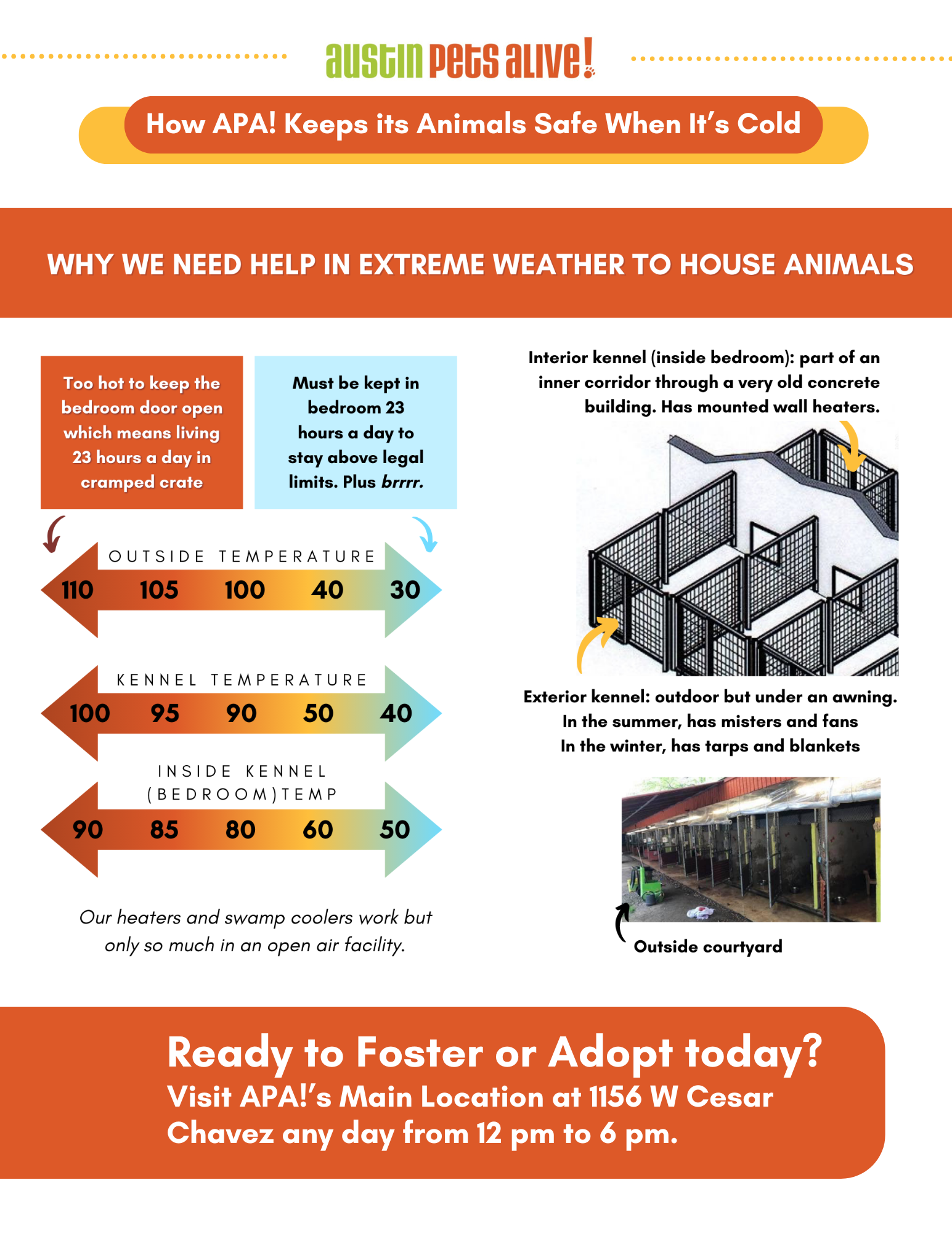 Cold Weather Keeping Pets Safe 1 - Winter Storm Warning: How You Can Help Austin Pets (and Keep Your Own Safe)