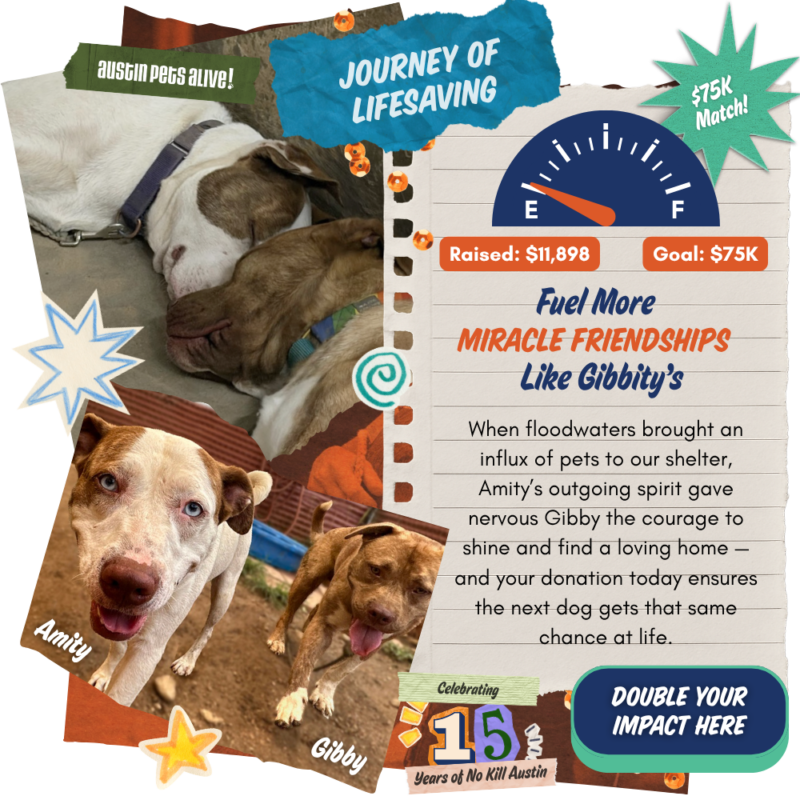 Journey of Lifesaving Web Pop Up