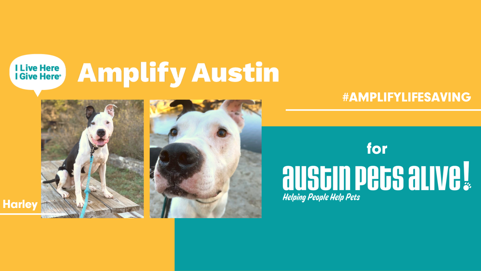 How To Make a Fundraiser for Amplify Austin