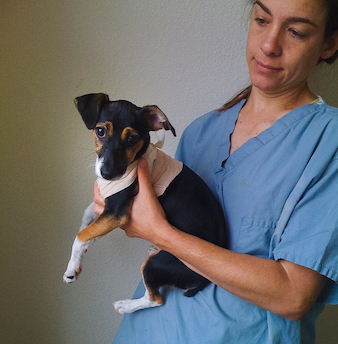 APA!'S Parvo Puppy ICU Began at Home