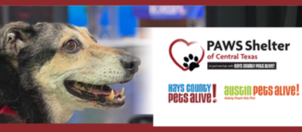 HAYS Thumbnail