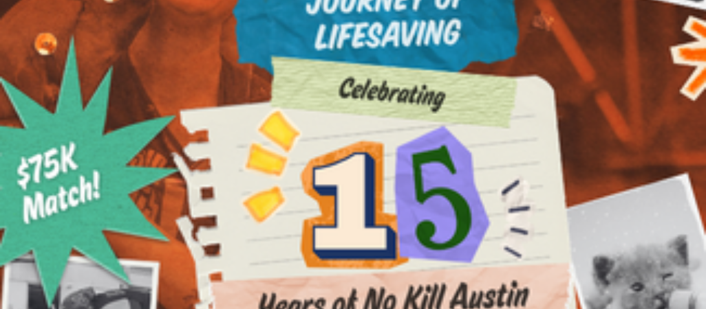 Journey of Lifesaving blog thumbnail