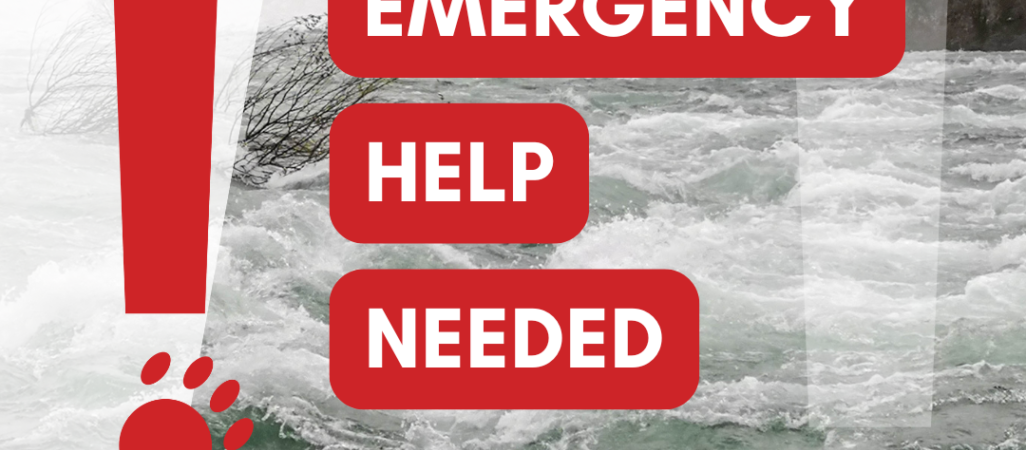 Kerville Emergency Social Social Media1