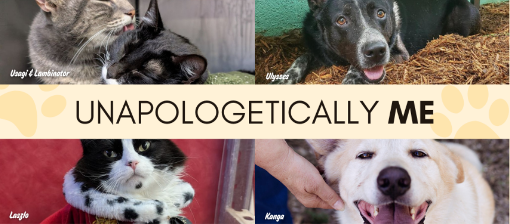 Unapologetically Me Blog Banner