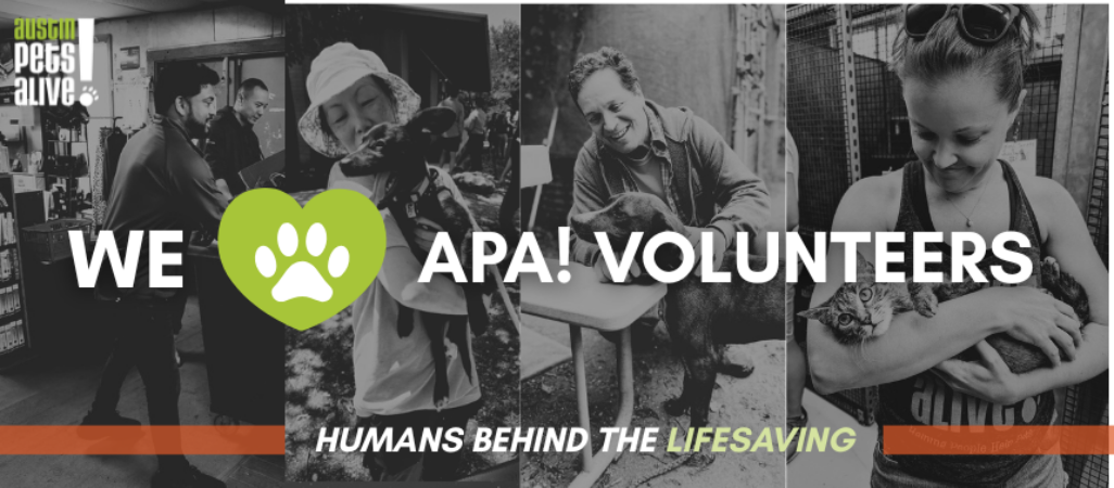 Volunteer Week Blog Banner
