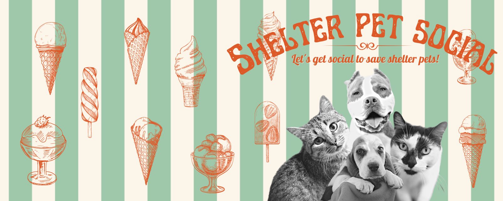 Web banner Shelter Pets Social 1