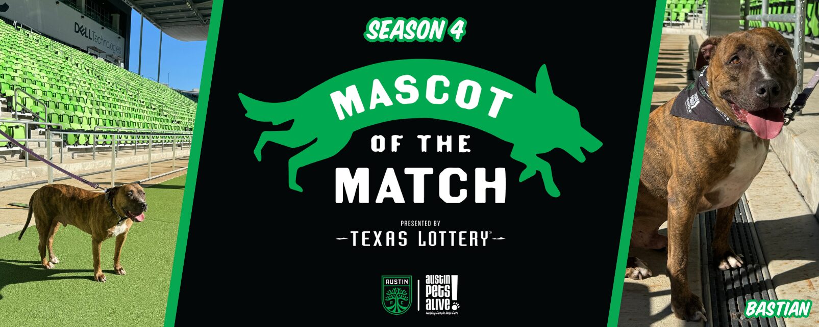 Austin FC Mascot Web Banner 1