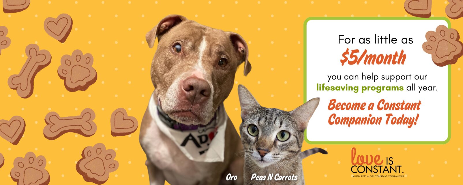 Constant Companions Web Banner