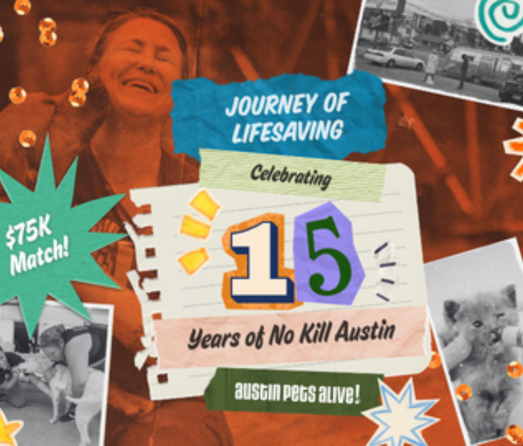 Journey of Lifesaving blog thumbnail