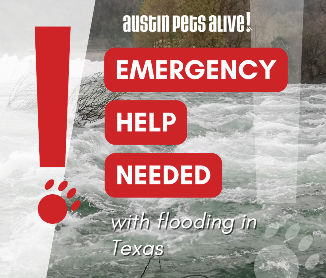 Kerville Emergency Social Social Media1