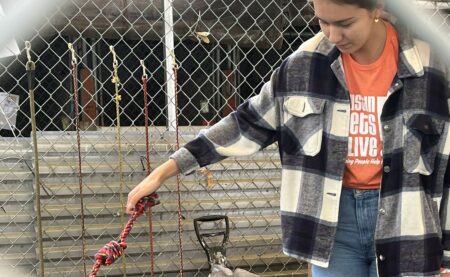 Young Leadership Dev Fund