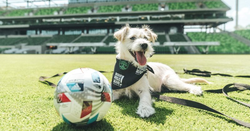 Austin Pets Alive!  Austin FC 2022 Mascots of the Match