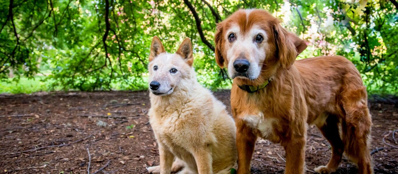 330982792 1370008423826080 7194369935061846455 n