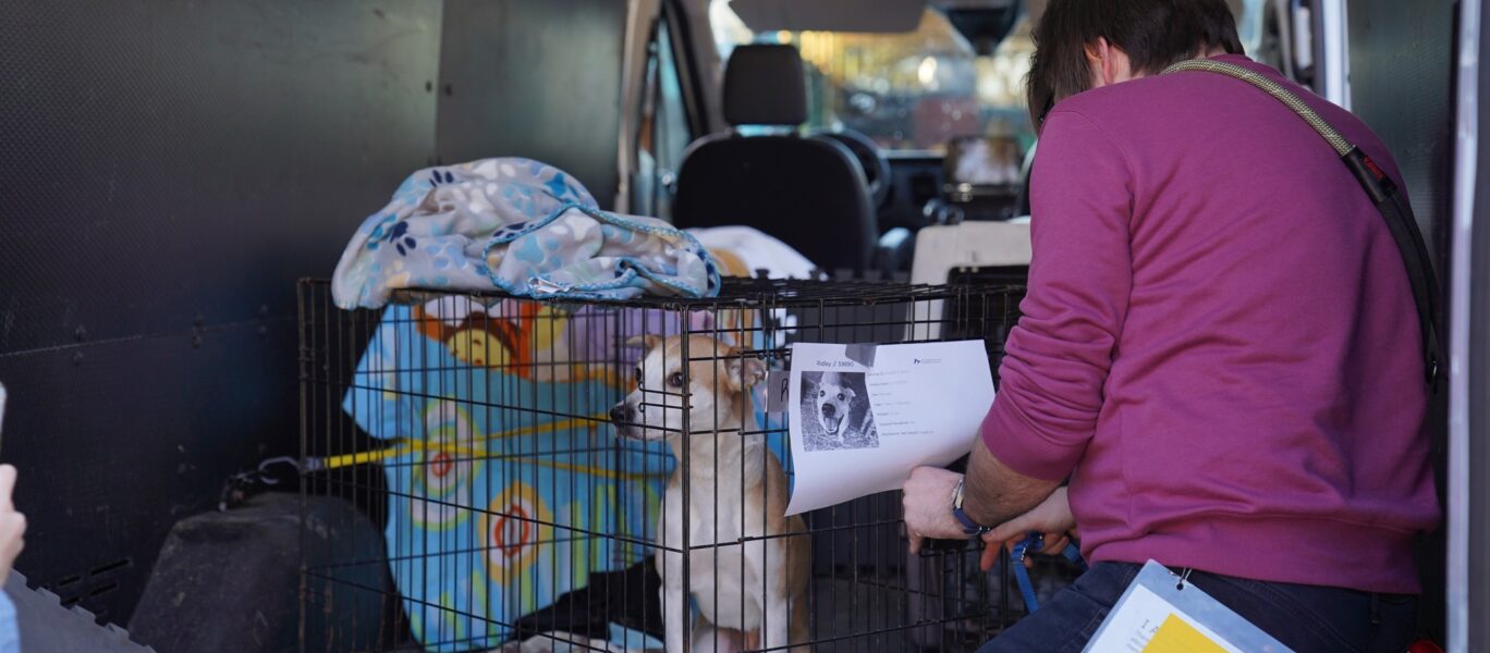 412321644 891837688965464 4265164483890797726 n