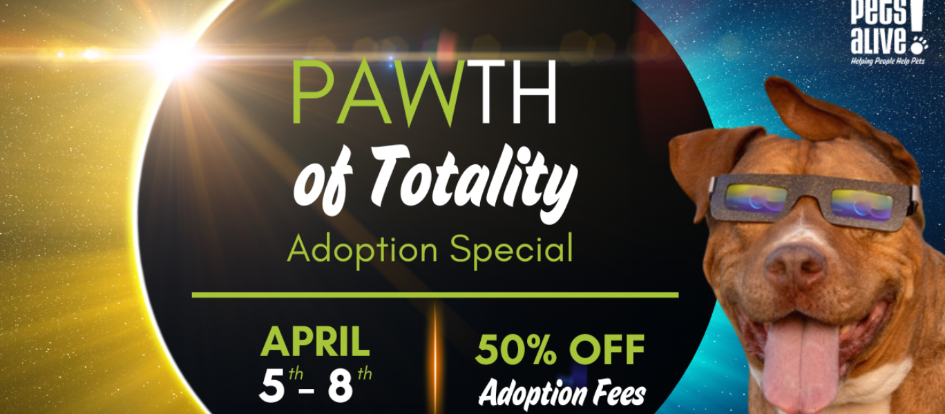 Solar Eclipse Pawth of Totality Adoption Special web banner