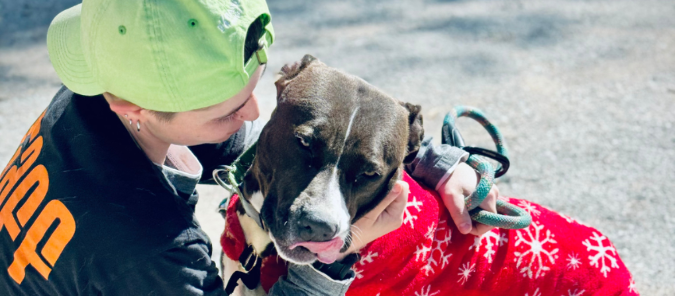 Courtesy rehoming listing