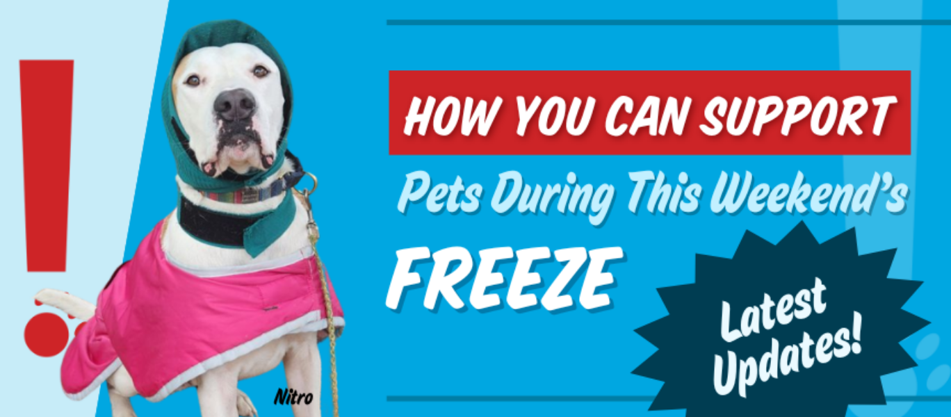 Urgent cold weather blog banner