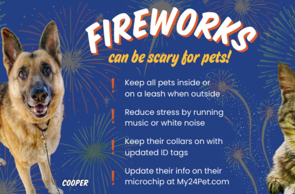 New Year Fireworks Blog Banner