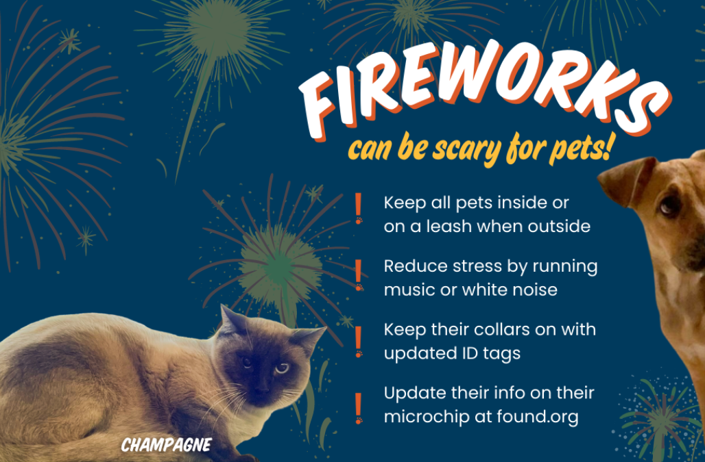 New Year Fireworks Web Banner