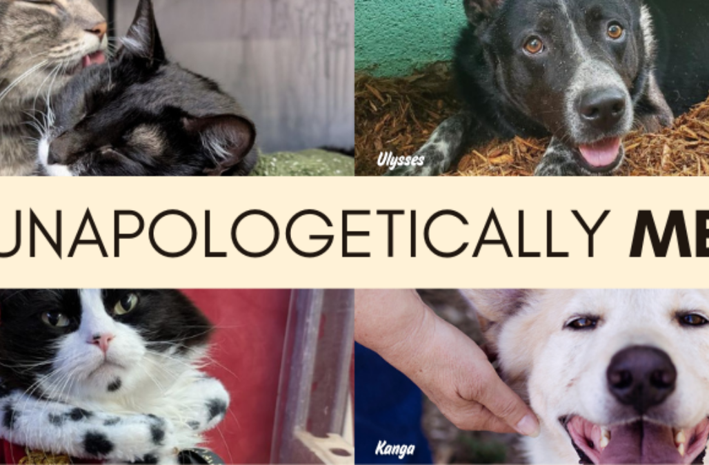 Unapologetically Me Blog Banner