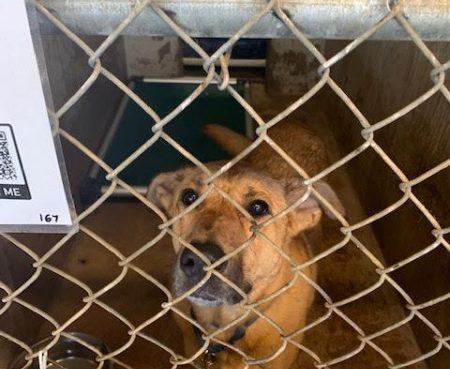 194650648 10159874378859066 8721034091145956079 n