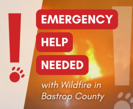 Emergency bastrop fire blog thumbnail