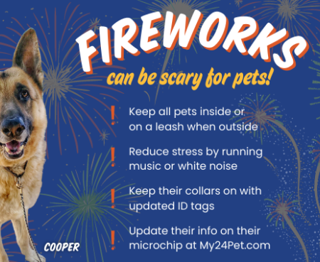 New Year Fireworks Blog Banner