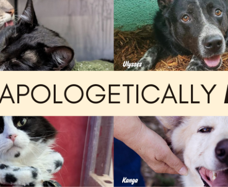 Unapologetically Me Blog Banner