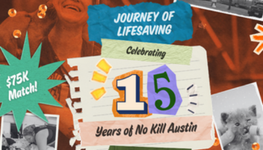 Journey of Lifesaving blog thumbnail
