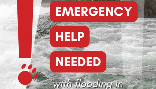 Kerville Emergency Social Social Media1