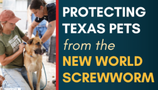 New World Screwworm Blog Banner 3