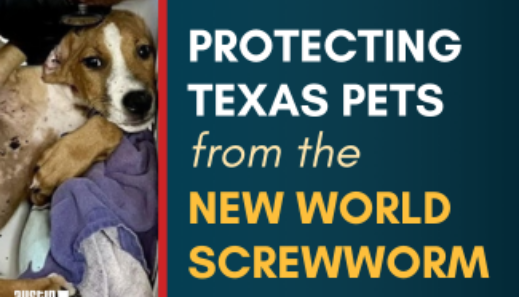 New World Screwworm Blog Banner 4