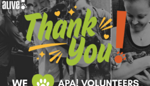 Volunteer appreciation week Blog Thumbnail
